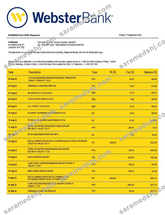 Webster Bank business statement Word and PDF template